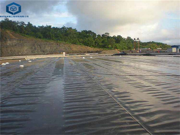 ���������(ch��ng)���BĤ